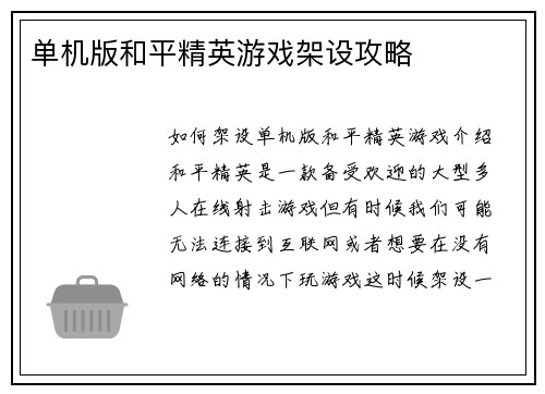 单机版和平精英游戏架设攻略